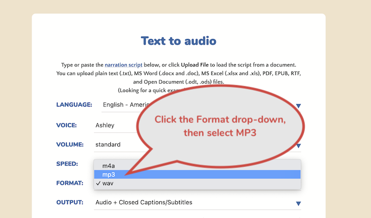 Text To MP3 Online   20230209 Ttsmp3 Format Selection 